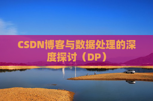 CSDN博客与数据处理的深度探讨（DP）